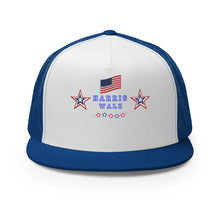 Load image into Gallery viewer, HARRIS WALZ HAT