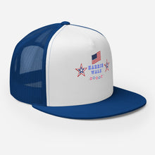Load image into Gallery viewer, HARRIS WALZ HAT